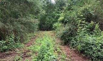 E HWY 16 Highway, Amite, LA 70422