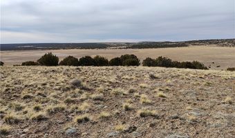 15 County Rd N8641, Concho, AZ 85924