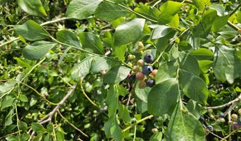 904 Sunnyhill Dr, Camden, SC 29020