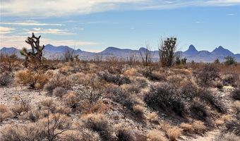 Lake Havasu Acres lot 166, Yucca, AZ 86438