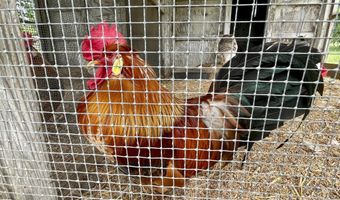 2311 ROCKWOOD Rd, Accokeek, MD 20607