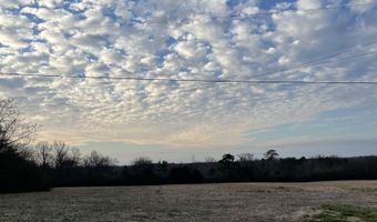 10 Hopewell Rd, Arab, AL 35016