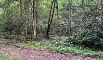 000 Chestnut Oaks, Andrews, NC 28901