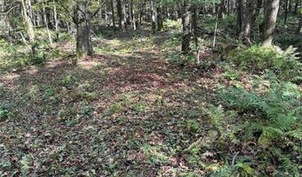360 Ives Hill Rd, Afton, NY 13730