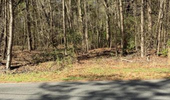 5037 Doctor Taylor Rd, Adams Run, SC 29426