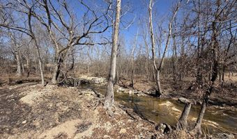 Rt 1 County Rd 14-531, Ava, MO 65608