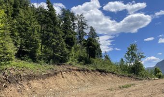 NNA Hwy 200, Clark Fork, ID 83811