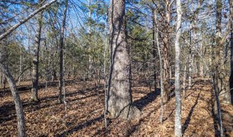 Tuska Drive, Ash Flat, AR 72513