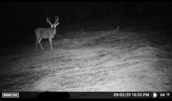 644 Ash-harrel Loop, Abbeville, GA 31001