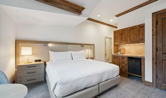 415 E Dean St. Unit 31 Week 11, Aspen, CO 81611