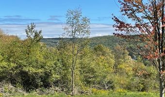 8302 Basswood Hill Rd, Alden, NY 14709