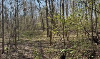 27 Mile Rd, Albion, MI 49224