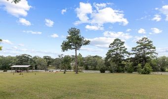 576 S County Road 33, Ashford, AL 36312