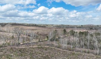 919 County Road 6628, Banks, AL 36005