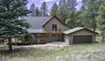 14 Winterwood Ct, Angel Fire, NM 87710