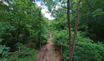 County Road 200, Alton, MO 65606