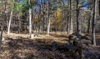 Lot 33 S Badger Lane, Arkdale, WI 54613