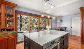 255 Little Pinon, Basalt, CO 81621