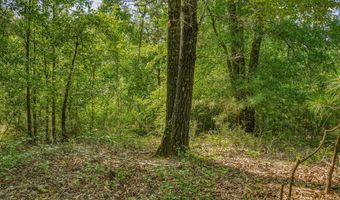 Harry Priddy Road, Americus, GA 31719