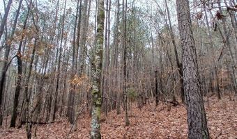 0 VENABLE Rd, Argo, AL 35173