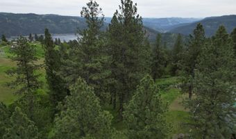1510 Summitview Driave, Ahsahka, ID 83520