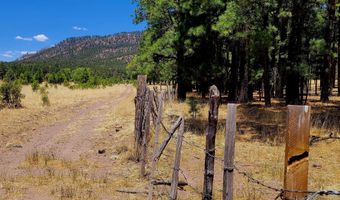 Tbd STONE CREEK RD CR 2117, Alpine, AZ 85920
