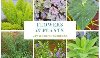 3274 Encinal Ave, Alameda, CA 94501