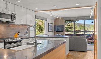 1221 Vine St 1221, Aspen, CO 81611