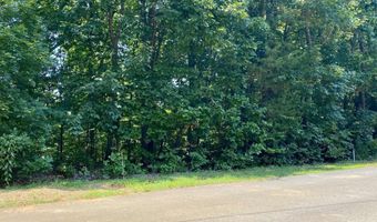 Lot 969 Iron Gate Drive, Baneberry, TN 37890