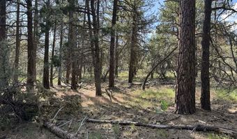 Thunderbear Road 46, Bonanza, OR 97623