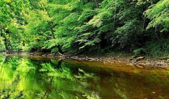 179 Cow Ln, Arnoldsburg, WV 25234