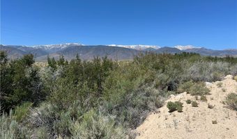 360 MOUNTAIN CREEK Rd, Dyer, NV 89010
