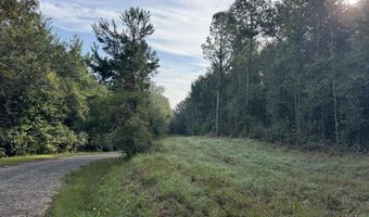 741 SE Hughs Hill Ln, Brookhaven, MS 39601