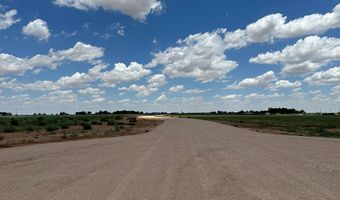 SE CR 2870, Andrews, TX 79714