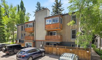 910 W Hallam St 9, Aspen, CO 81611