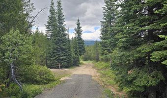 23 Sawtooth Loop, Cascade, ID 83611