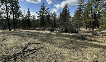 Widgeon Drive lot 3, Bonanza, OR 97623