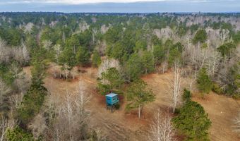 241 Foskey Cemetary Rd, Adrian, GA 31002