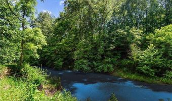119 Sharp Mtn, Ball Ground, GA 30107