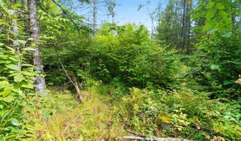 Double Bend Road, Argonne, WI 54511