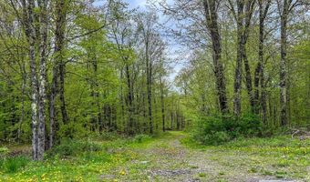 State Highway 28, Andes, NY 13731