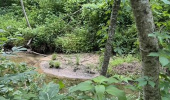 Geeville Road, Baldwyn, MS 38824