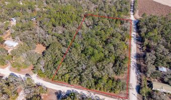 NW 10th Ave, Bell, FL 32619