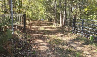 7501 Rainey Morris Rd, Appling, GA 30802