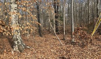 Devon Way Road, Baneberry, TN 37890