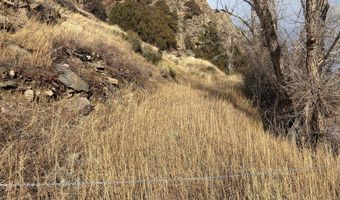 32370 Poudre Canyon Rd, Bellvue, CO 80512
