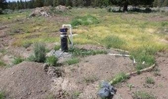 Deer Springs Road, Beatty, OR 97621