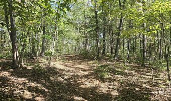 HURT HOLLOW RD, Banco, VA 22711