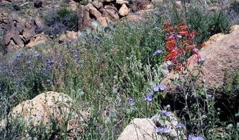 0 S Bent Spur Rd 69-B, Congress, AZ 85332