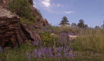 3434 Davis Ranch Rd, Bellvue, CO 80512